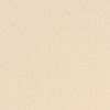 IVORY CREAM - Image 2